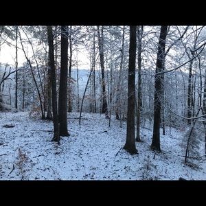 Meet your Posher, Cameron